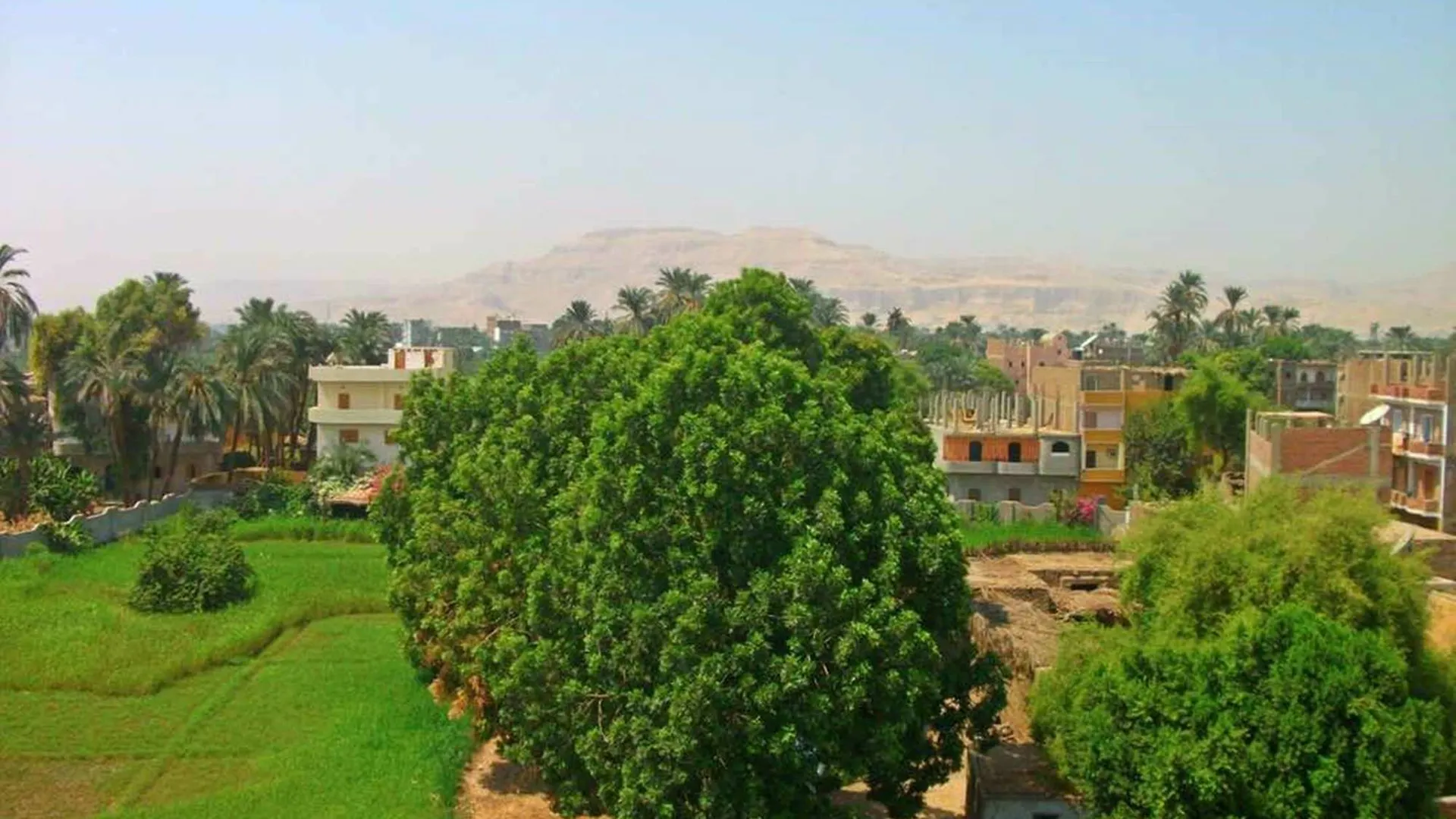 Farida Apartments Luxor 0*,