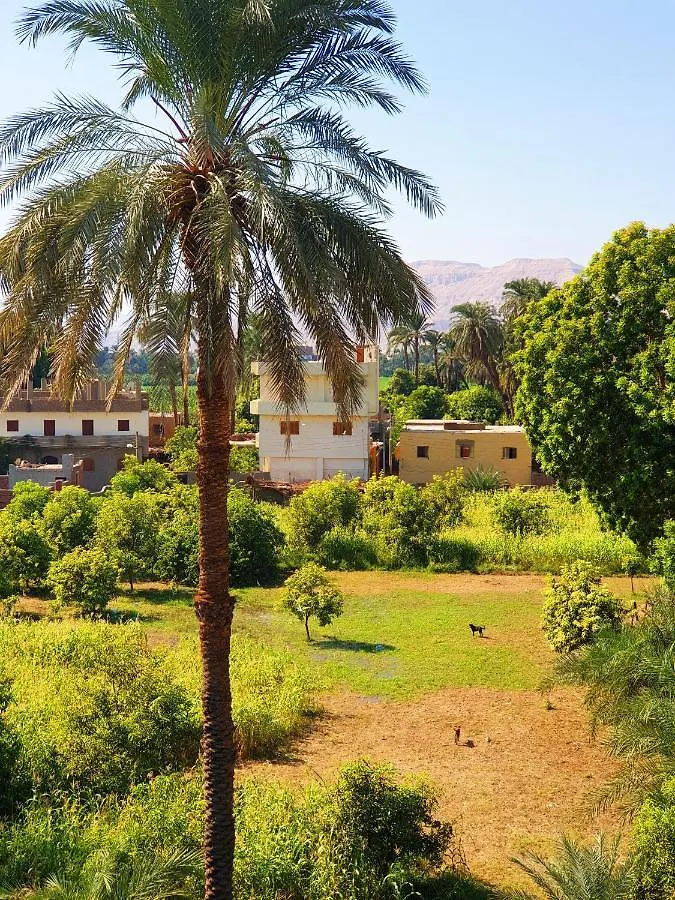 Farida Apartments Luxor