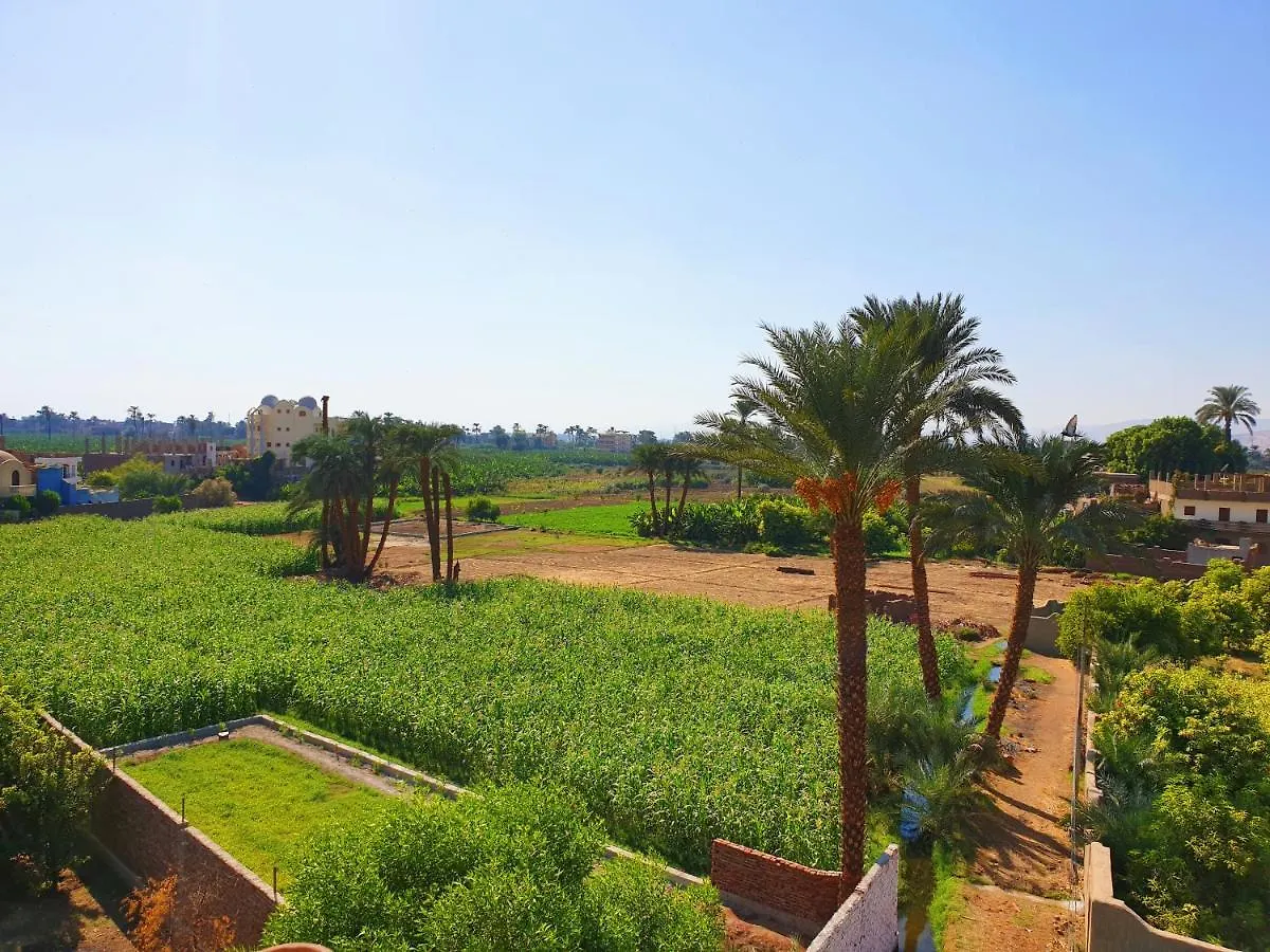 Farida Apartments Luxor