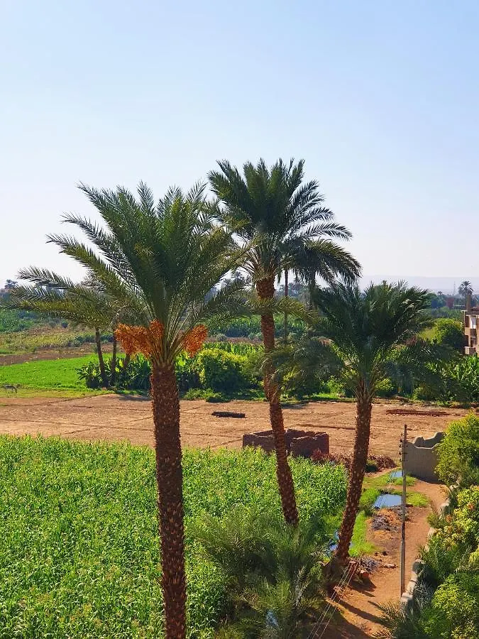 Farida Apartments Luxor 0*,