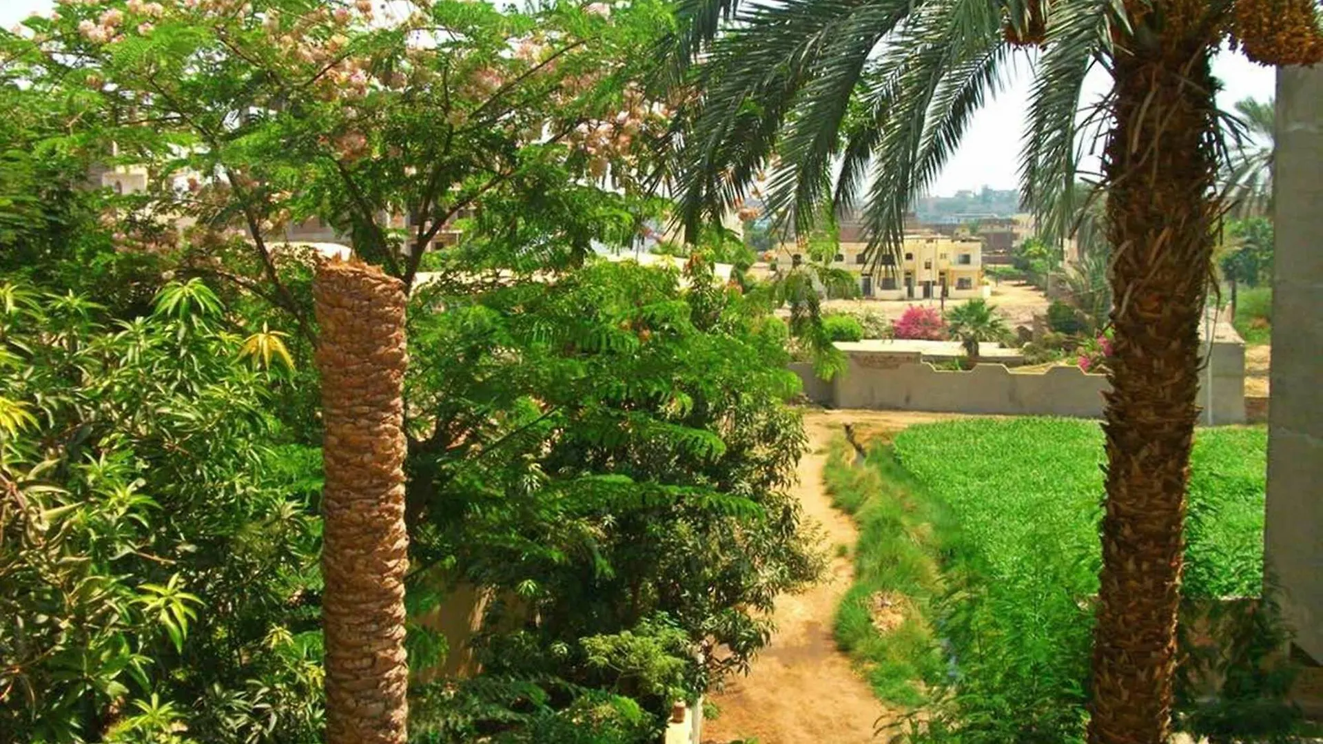 Farida Apartments Luxor