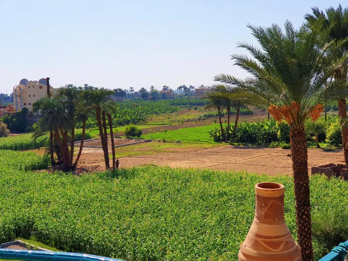 Farida Apartments Luxor 0*,  Egypt
